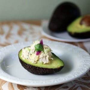Avocado Stuffed with Tangy Chicken Salad