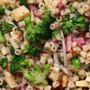 Pasta, Ham, Broccoli and Cheese Salad