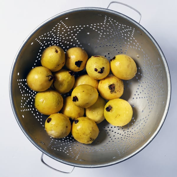 Rinse the guavas before cooking, and remove the blossom point.