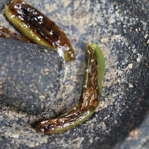 Roasted Chiles for guacamole