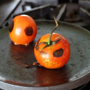 Roasted Tomatoes for Salsa
