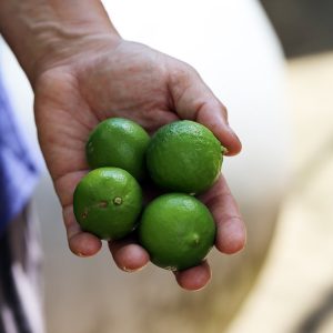 Fresh limes