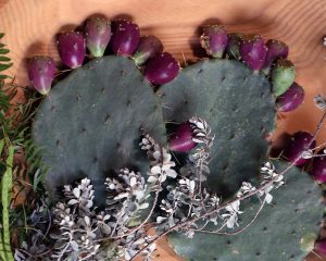 Cactus Pad Detail