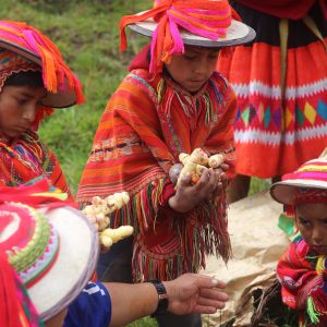 building the pachamanca