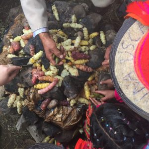 Building the pachamanca
