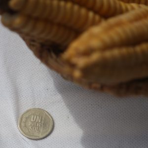 1 Peruvian Sol coin