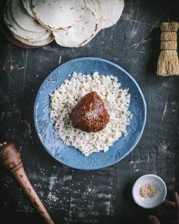 Mole Poblano con Pavo over rice