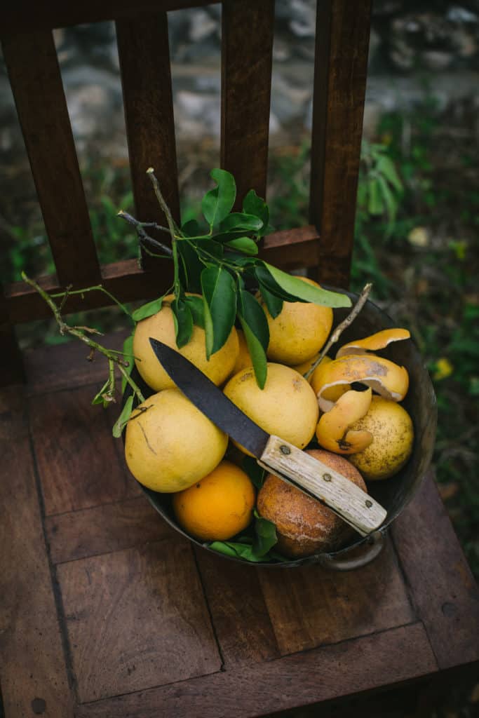 bowl of grapefruit