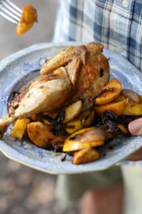 plate of chicken and apples