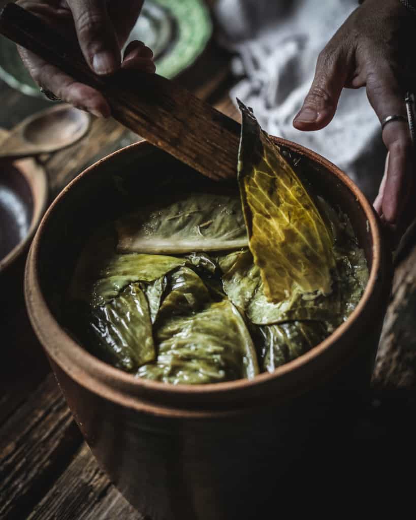 hand with cabbage leaf