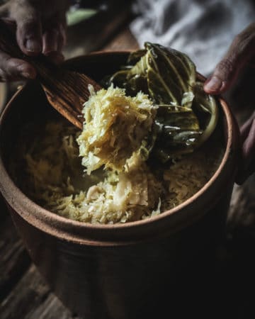 Hand with spoonful of sauerkraut