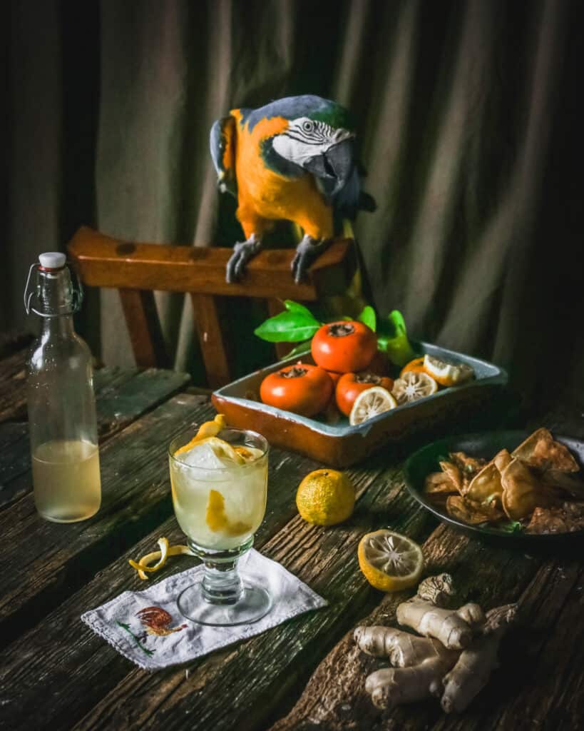Macaw with cocktail and ginger syrup