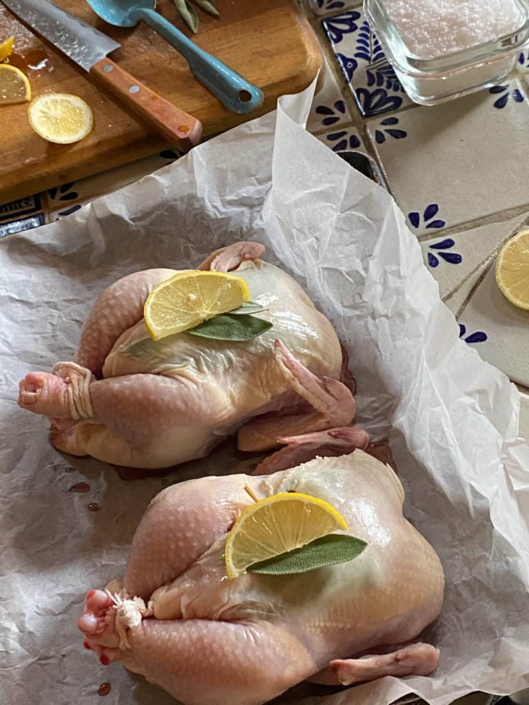 2 uncooked Lemon Sage Cornish Game Hens on tray