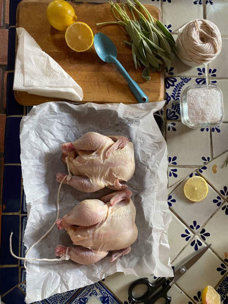 2 uncooked poultry on tray