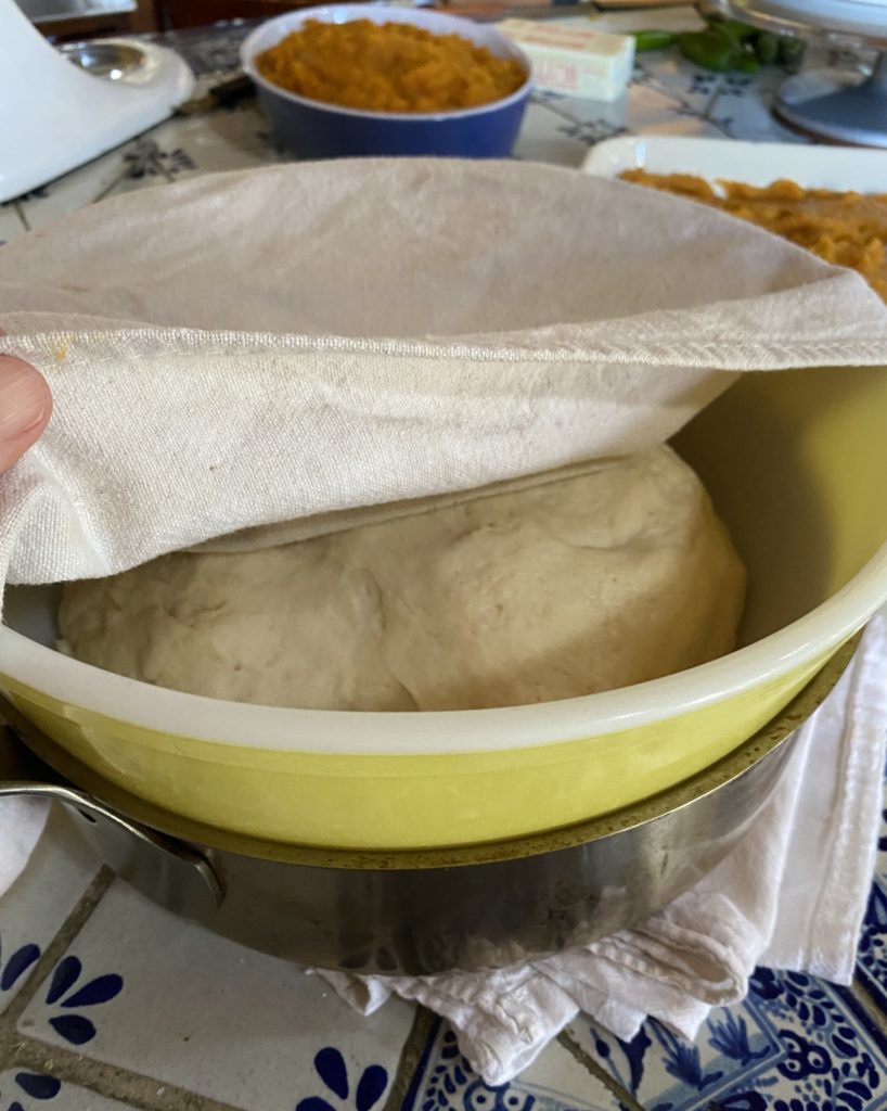 bowl of rising dough in saute pan