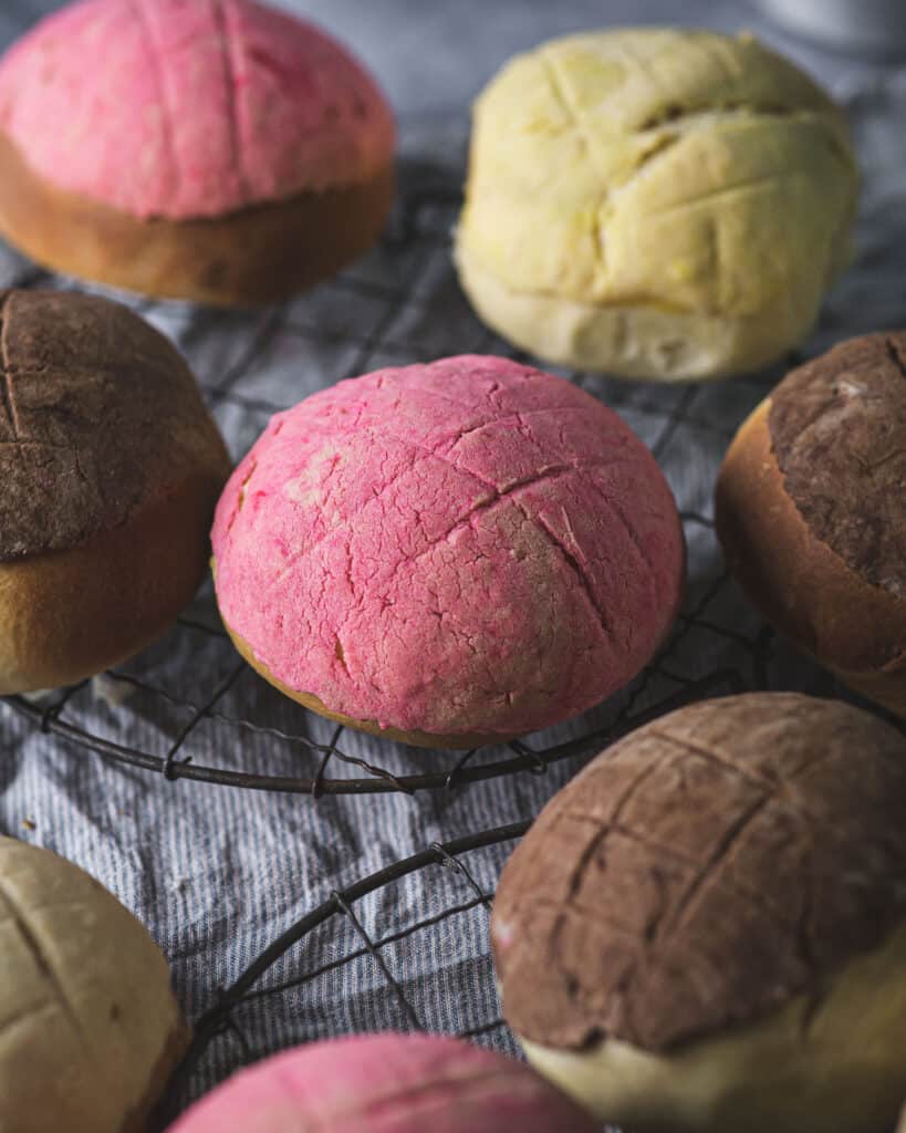 Close up of pink and brown conchas
