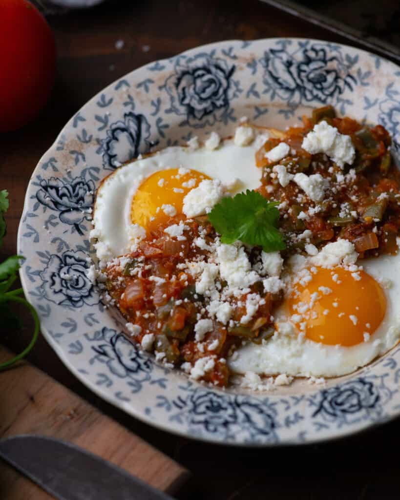 Nopalitos in Chipotle Tomato Salsa