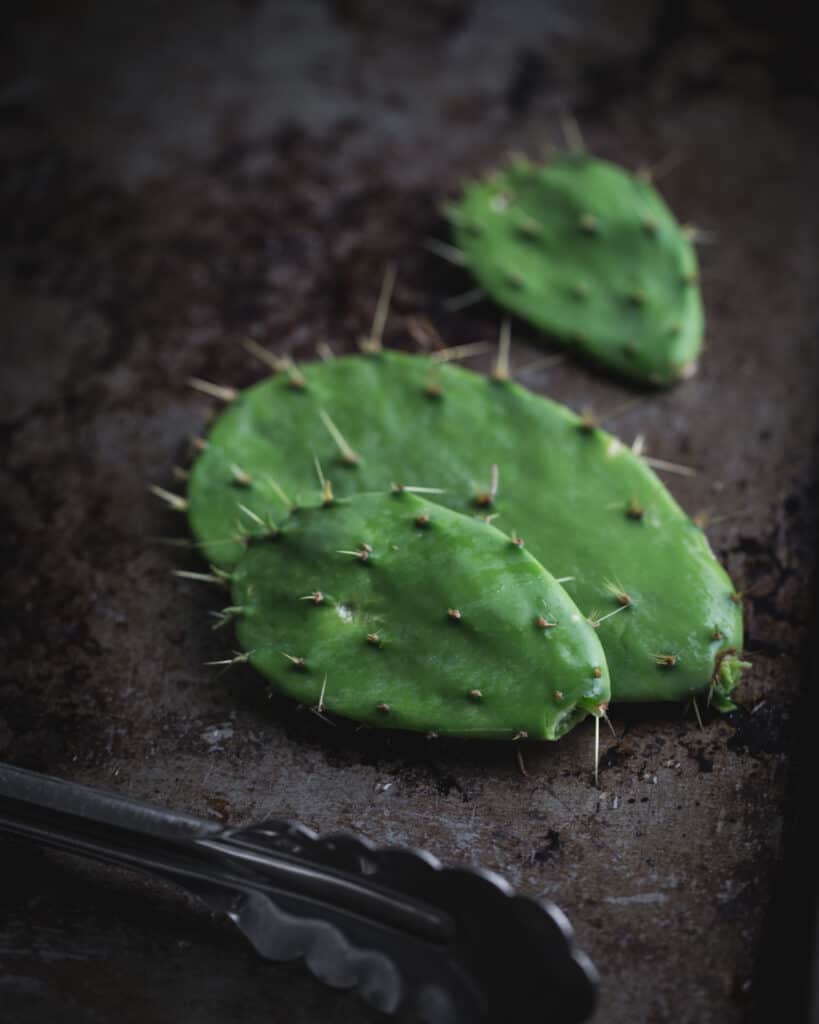 fresh cactus pads up close