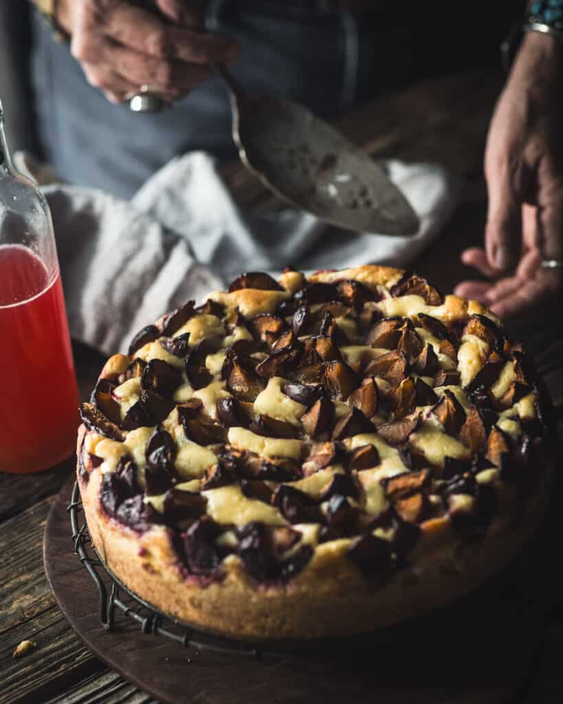 overhead view of Plum Cheesecake Tart